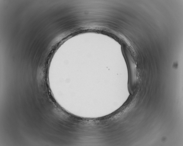 X0000116430922201001191508