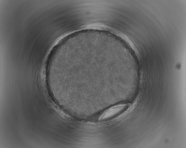 X0000116430923201001191508