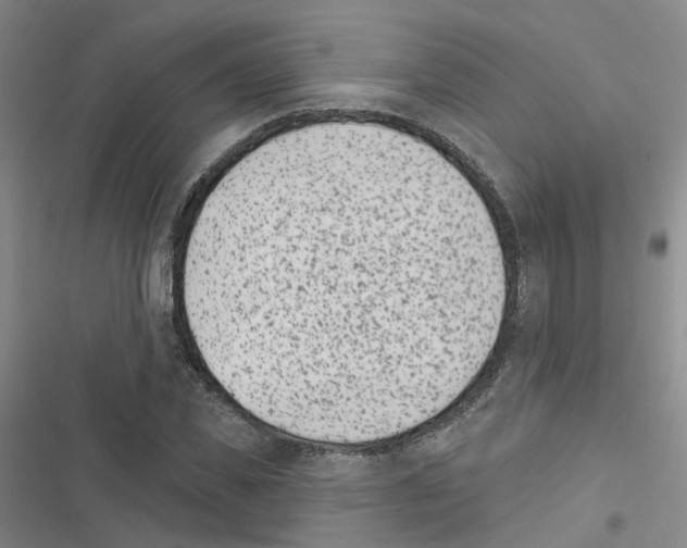 X0000116430925201001191508