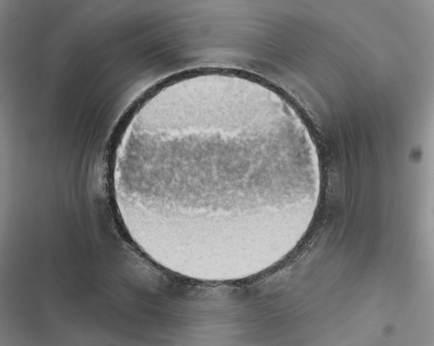 X0000116430926201001191508