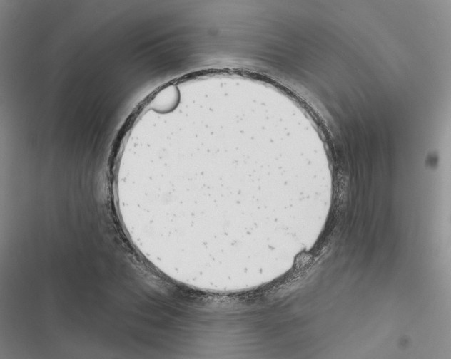 X0000116430927201001191508