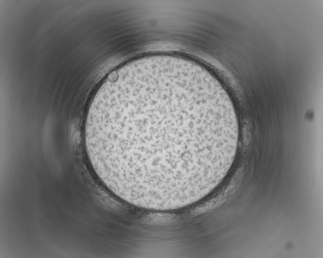 X0000116430929201001191508