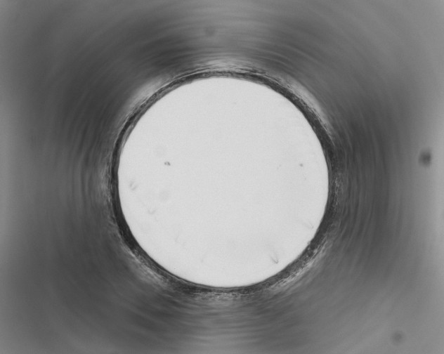 X0000116430930201001191508