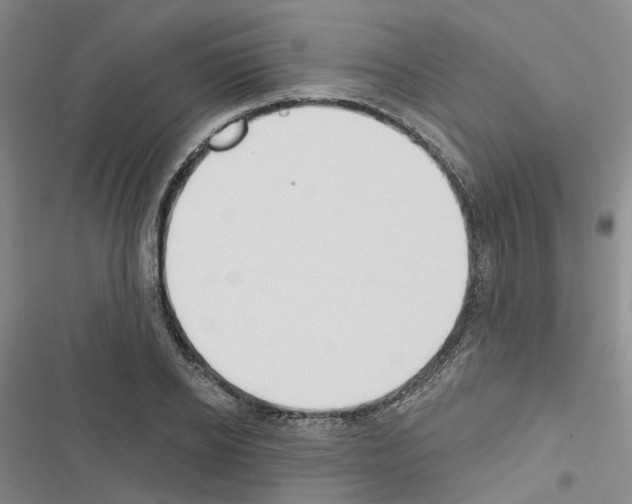 X0000116430934201001191508