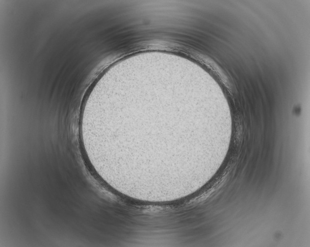 X0000116430938201001191508