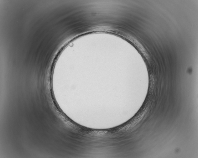 X0000116430939201001191508
