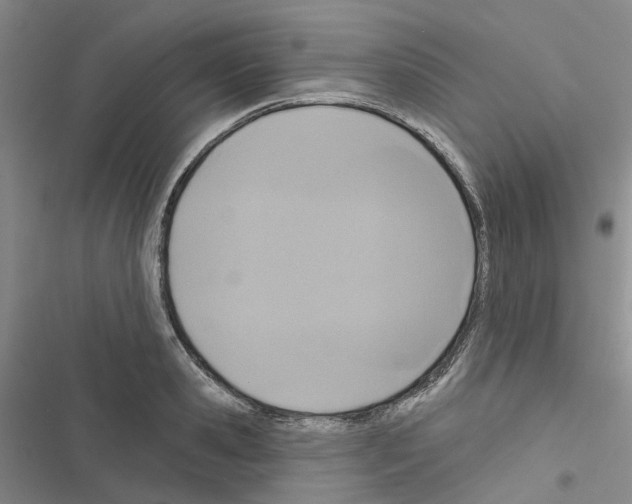 X0000116430941201001191508