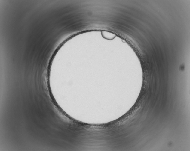 X0000116430942201001191508