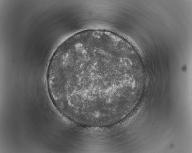X0000116430943201001191508