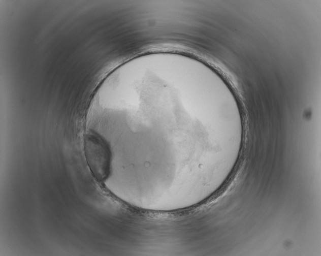 X0000116430945201001191508
