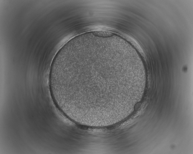 X0000116430946201001191508