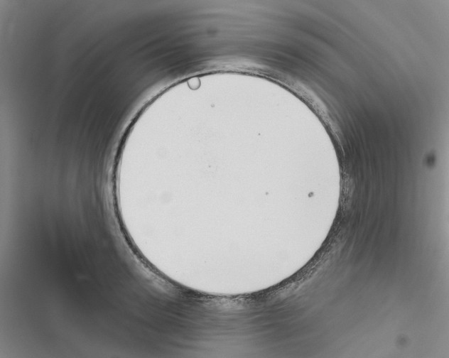 X0000116430947201001191508