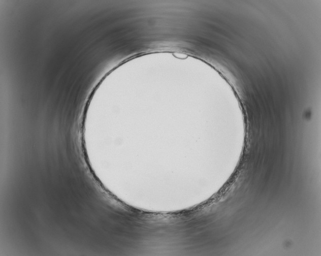 X0000116430949201001191508