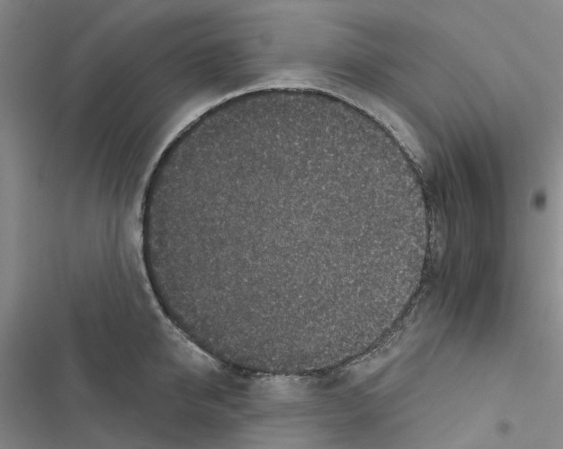 X0000116430950201001191508