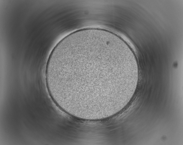 X0000116430951201001191508