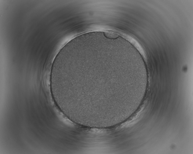 X0000116430954201001191508