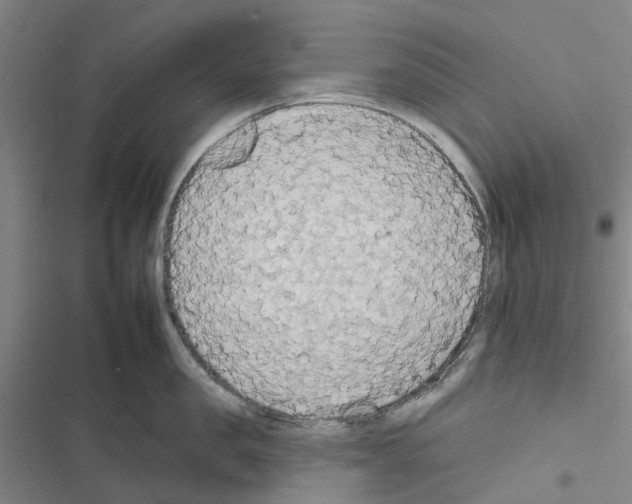 X0000116430957201001191508