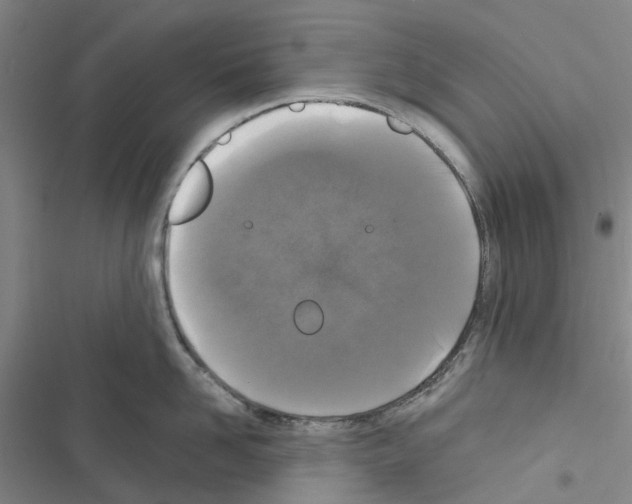 X0000116430958201001191508