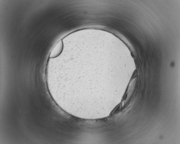 X0000116430959201001191508