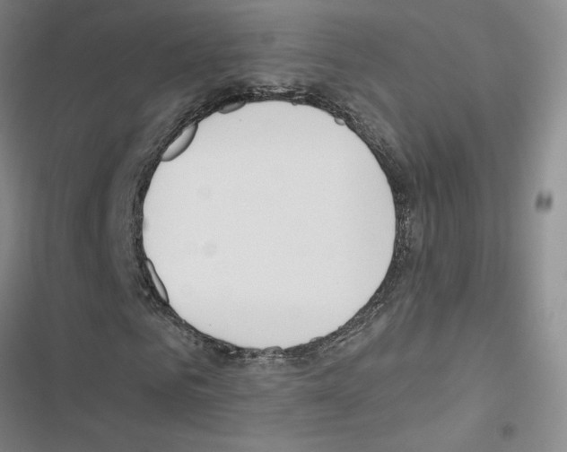 X0000116430961201001191507