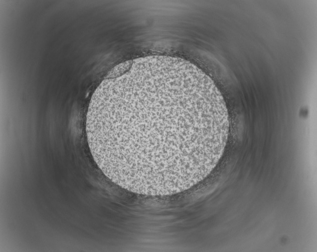 X0000116430962201001191507