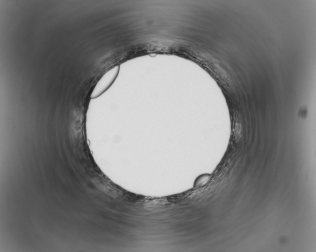 X0000116430964201001191507