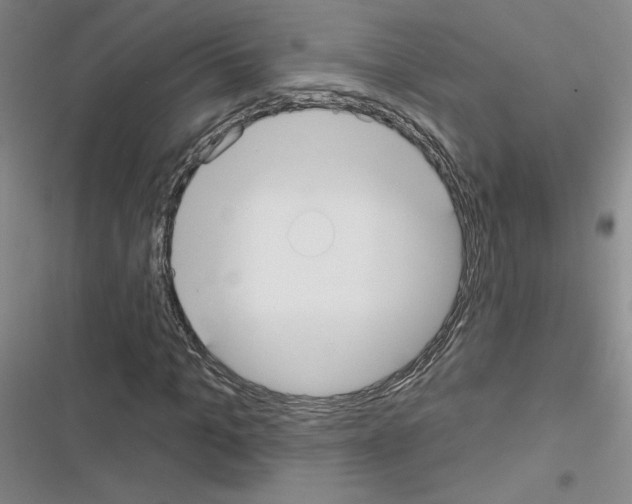 X0000116430965201001191507
