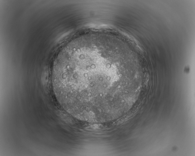 X0000116430966201001191507