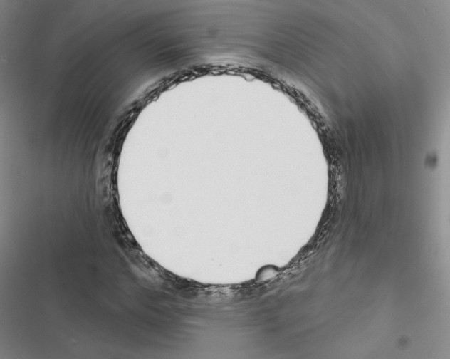 X0000116430968201001191507