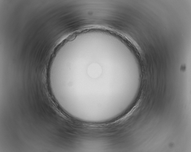 X0000116430969201001191507