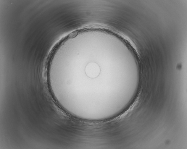 X0000116430973201001191507