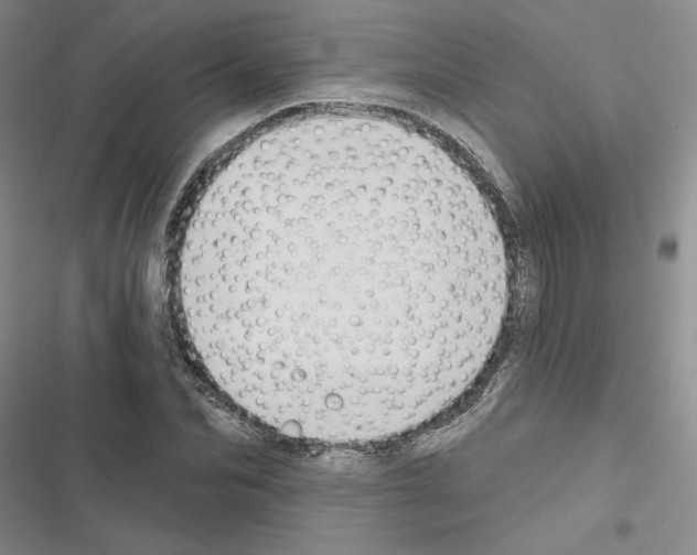 X0000116430974201001191507