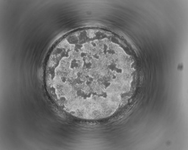 X0000116430975201001191507
