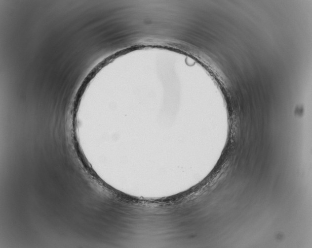 X0000116430976201001191507