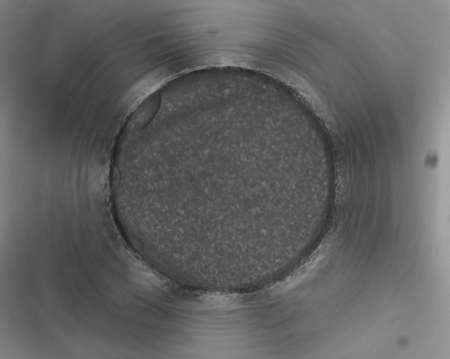 X0000116430977201001191507