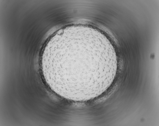 X0000116430978201001191507
