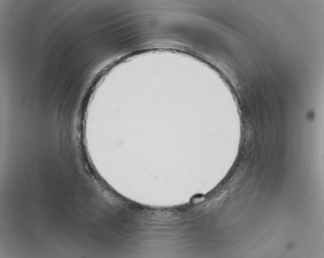 X0000116430979201001191507