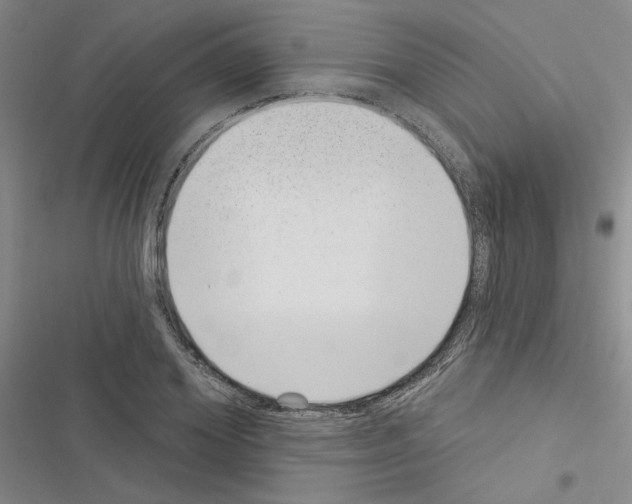 X0000116430980201001191507