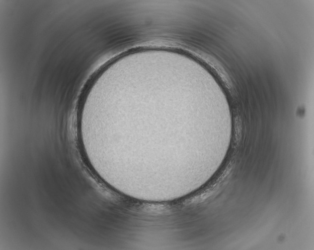 X0000116430982201001191507