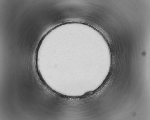 X0000116430983201001191507