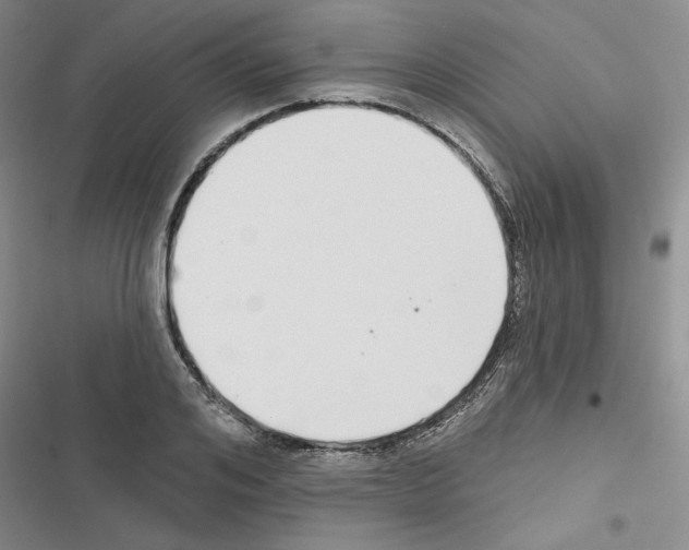 X0000116430984201001191507