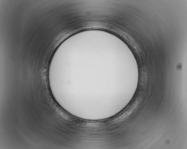 X0000116430985201001191507