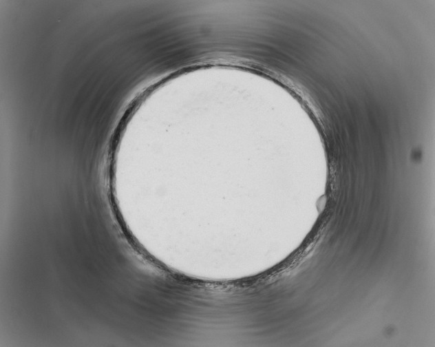 X0000116430987201001191507