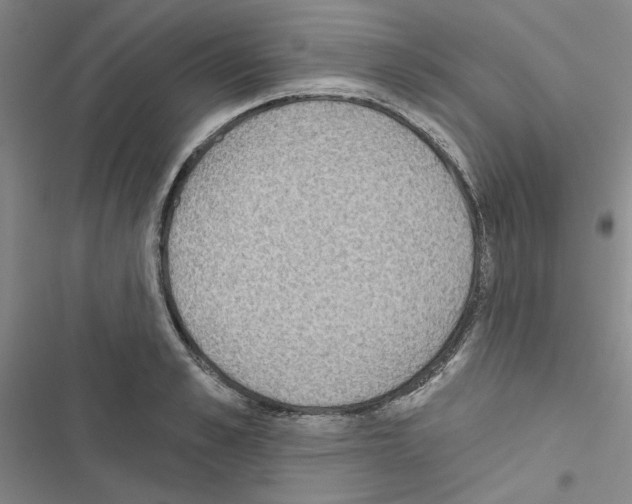 X0000116430989201001191507