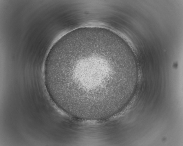 X0000116430990201001191507