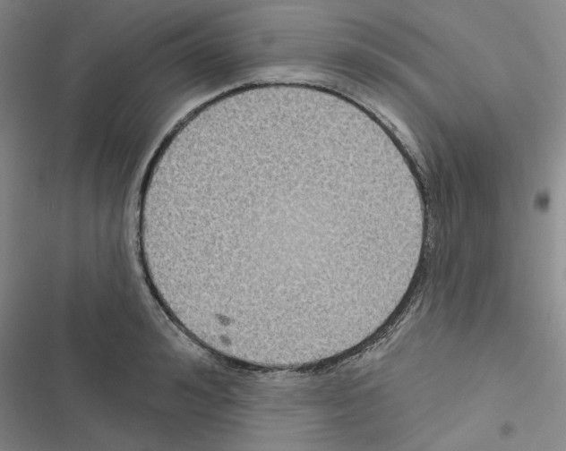 X0000116430992201001191507