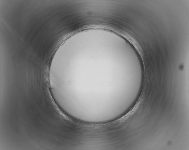 X0000116430993201001191507