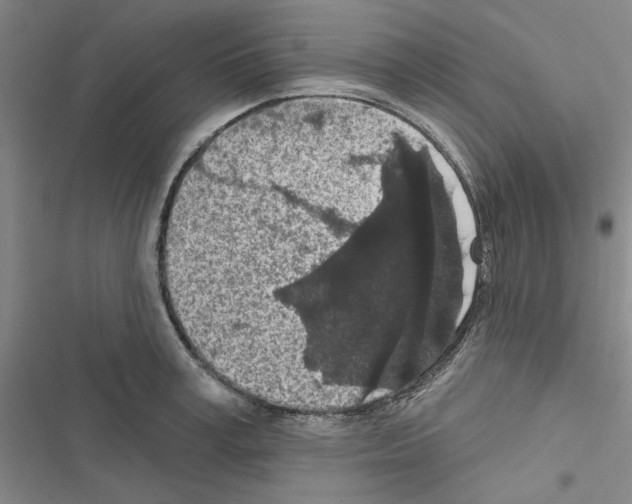 X0000116430995201001191507