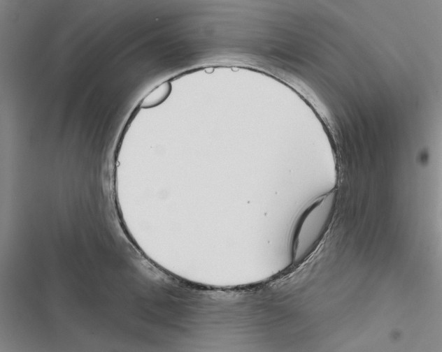 X0000116430996201001191507
