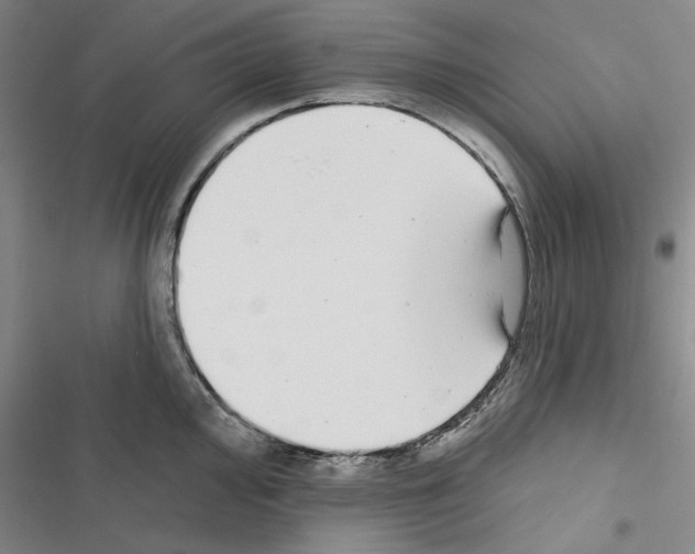X0000116431000201001191507